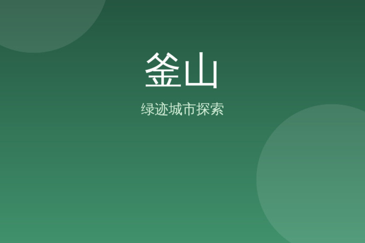 釜山夜晚的隐秘酒巷与老市场寻味 · 釜山