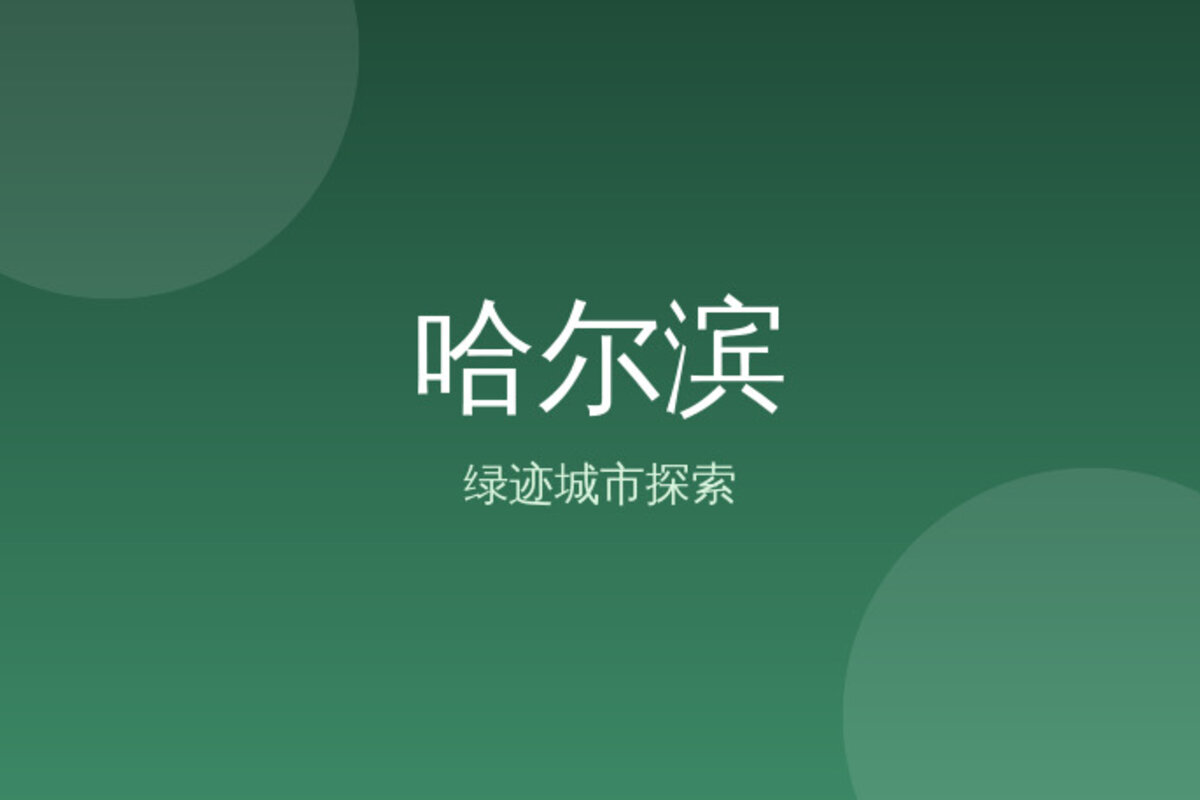 中央大街冰雪大世界看冰雕 · 哈尔滨