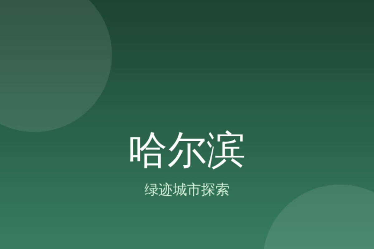 中央大街冰雪大世界看冰雕 · 哈尔滨
