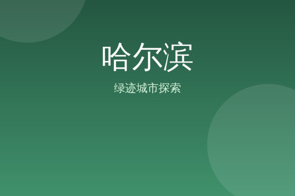 中央大街冰雪大世界看冰雕 · 哈尔滨